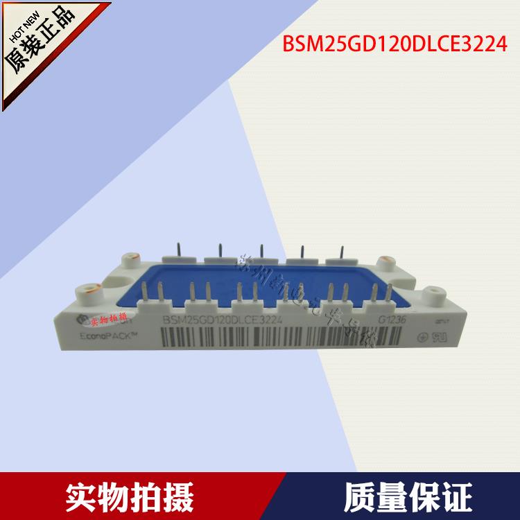 BSM25GD120D